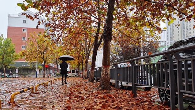 雨中周口，別有一番韻味